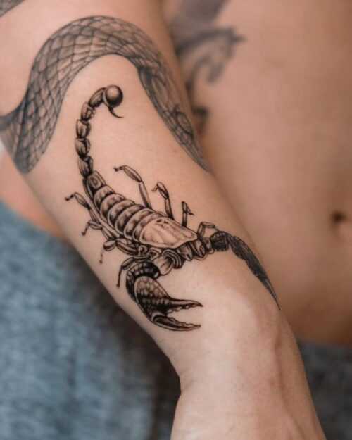 Top Scorpion Tattoo Design Trends and Their Hidden Symbolism - Holistic Ink