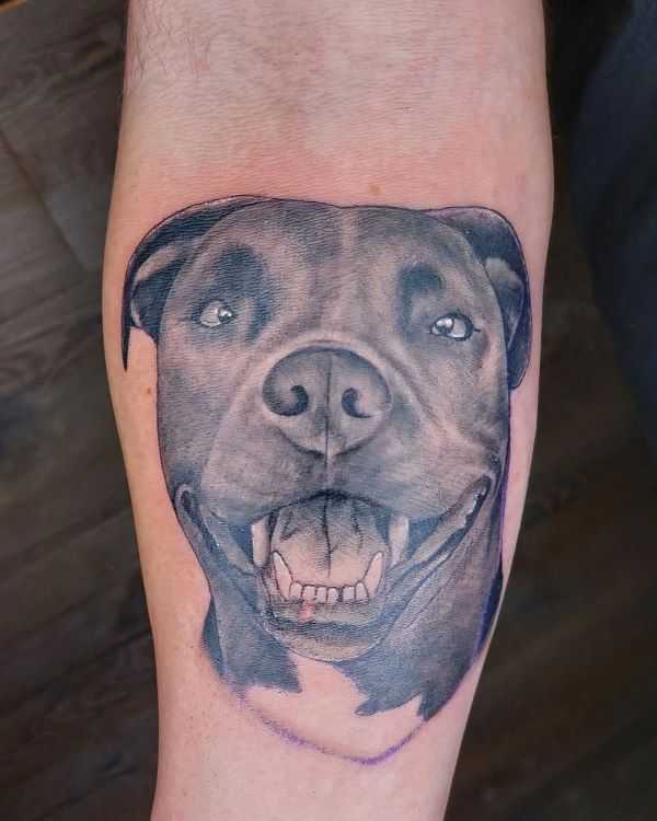3D Pitbull Tattoo | mikemikeska