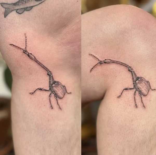 Impact of Movement on Tattoo Appearance