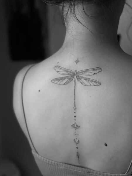 Dragonfly in Fine Line | Nasti