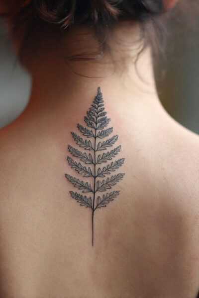 Fern Frond Unfurling | Brighter Craft